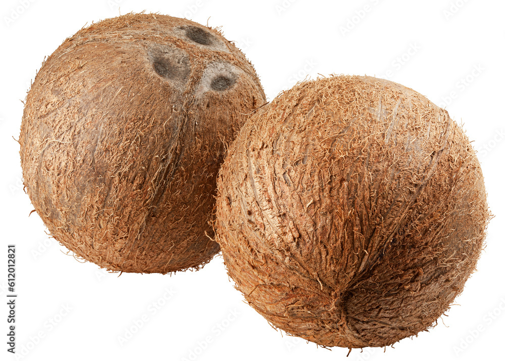 coconut, isolated on white background, full depth of field coconut, isolated on white background, full depth of field
