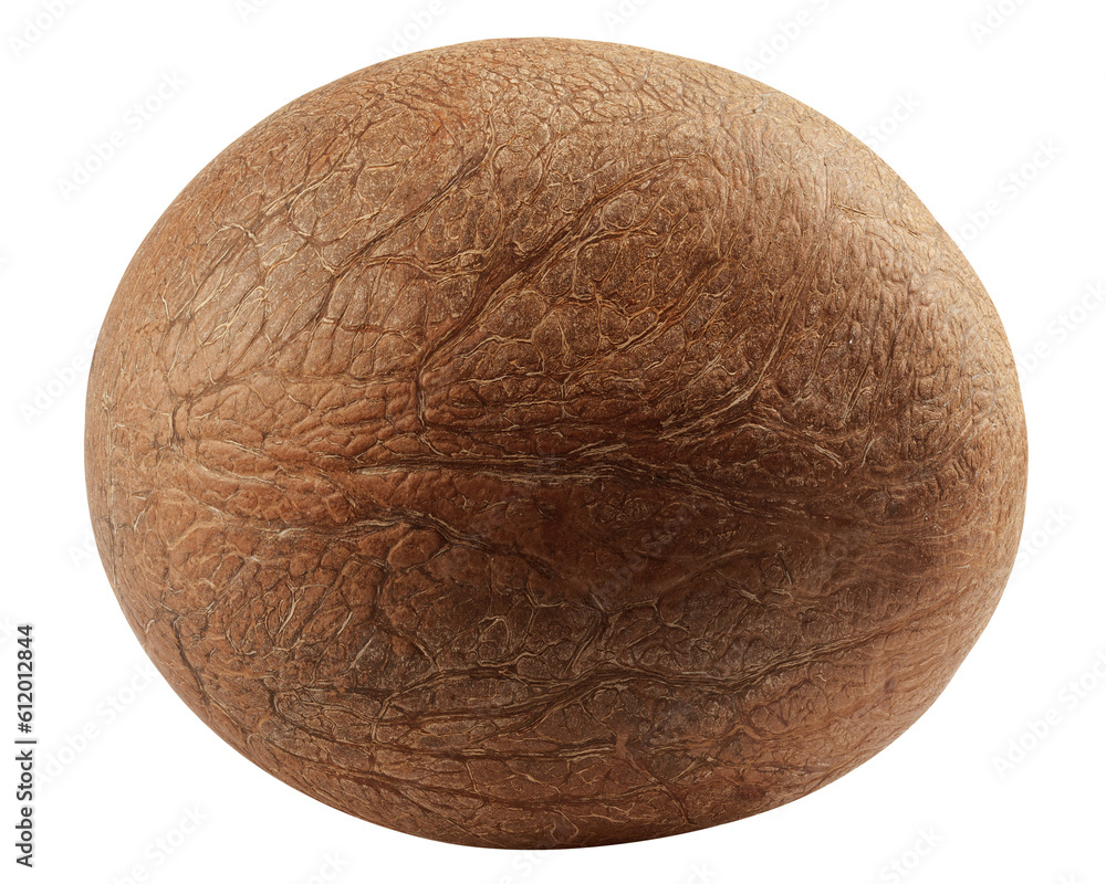 Coconut without shell, isolated on white background, full depth of field