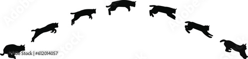 cats silhouette jumping images