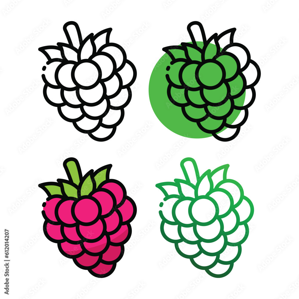 Raspberry icon design in four variation color Raspberry icon design in four variation color