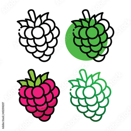 Raspberry icon design in four variation color
