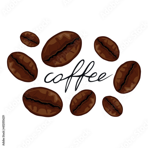 Kawa - całe ziarna palonej kawy. Brązowe ziarna kawy z napisem coffee. Palone ziarenka kawy na białym tle. Aromatyczna palona kawa - rysunek wektorowy, ilustracja