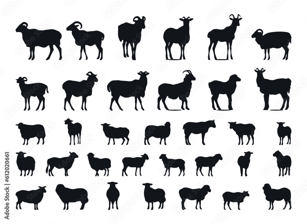 Obraz premium sheep and goat silhouettes set illustration vector