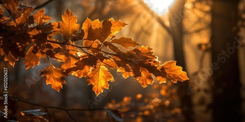 Golden Sunlight Through Autumn Leaves -ai generated