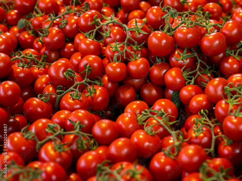 fresh tomatoes at the local market fresh tomatoes at the local market