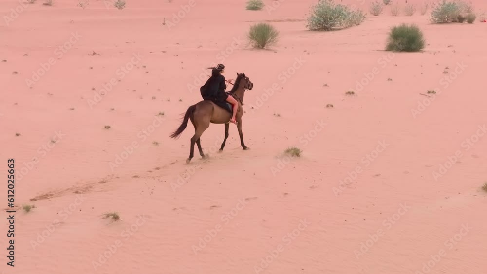 The drone flies on a rider on a red horse galloping on the sands of the desert among green bushes The drone flies on a rider on a red horse galloping on the sands of the desert among green bushes