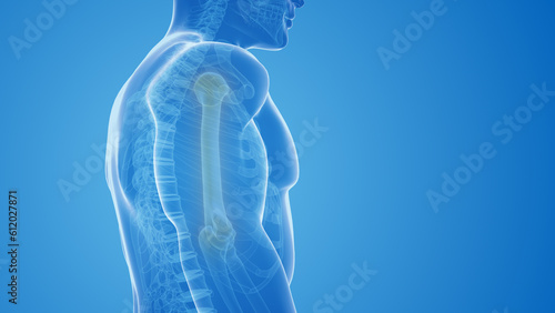 Hand and Upper Extremity Pain