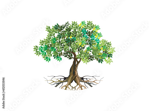 tree and roots vector illustrations