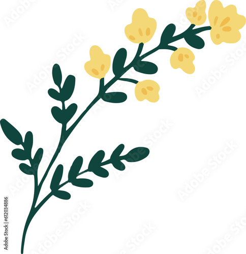 flower hand drawing illustration