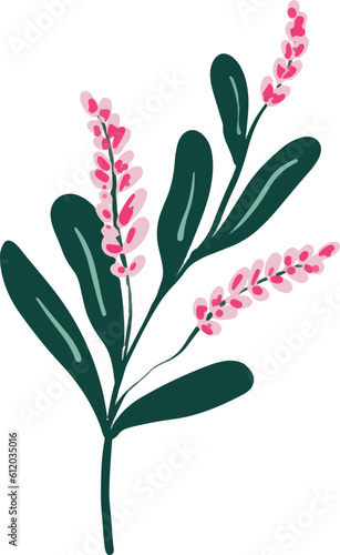 flower hand drawing illustration