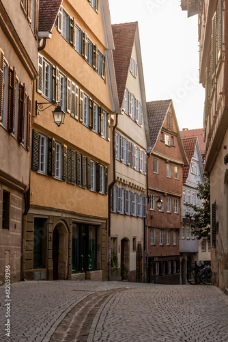 Medieval street in Tubingen  Germany
