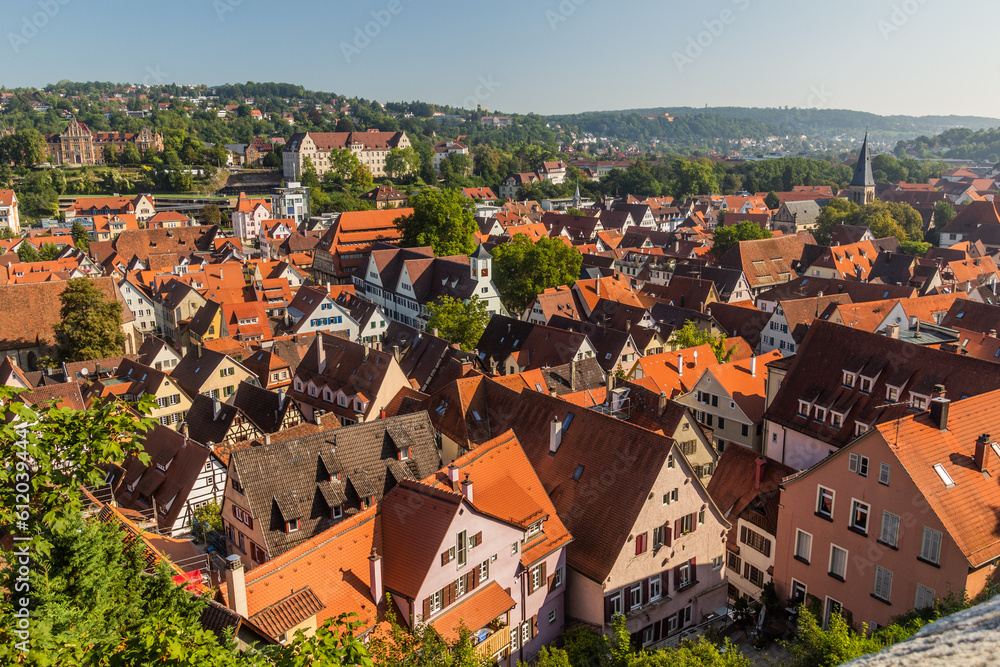 Aerial view of Tubingen, Germany