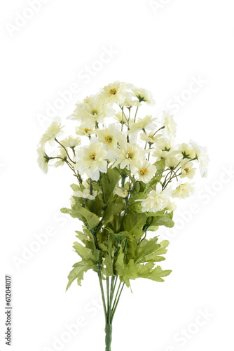 isolated artificial small white flowers