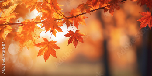 Herbstbl  tter Gelb und Orange im Gegenlicht Nahaufnahme  ai generativ