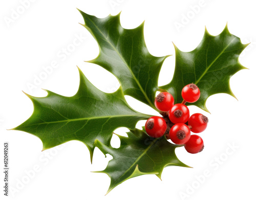 Holly berry with leaves isolated. Illustration AI Generative.