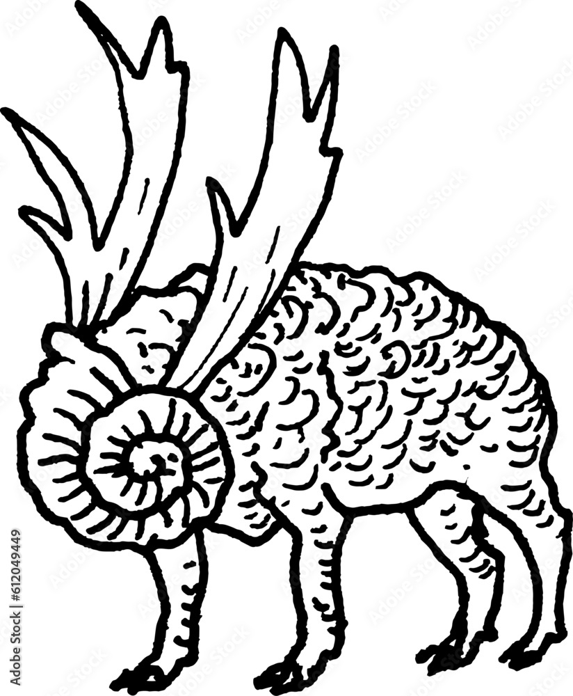 Tattoo horned, snail, sheep, lamb, ram, hallucinations, insects, mushrooms Tattoo horned, snail, sheep, lamb, ram, hallucinations, insects, mushrooms