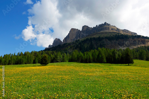 Passo Costalunga in Dolomites, Italy. Hillside of mount Catinaccio (Rosengarten) on the background, Italy, Europe	 photo