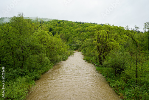 Wisloka river during the flood in the area of Magura National Park