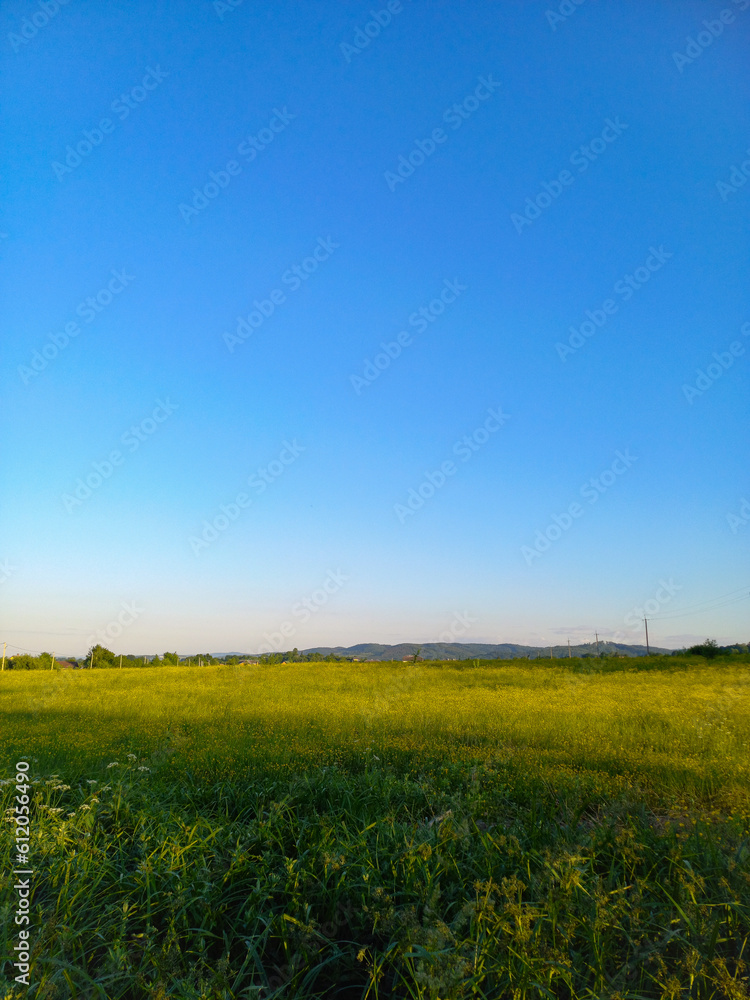 Obraz premium dawn in the field, mountains in the distance 