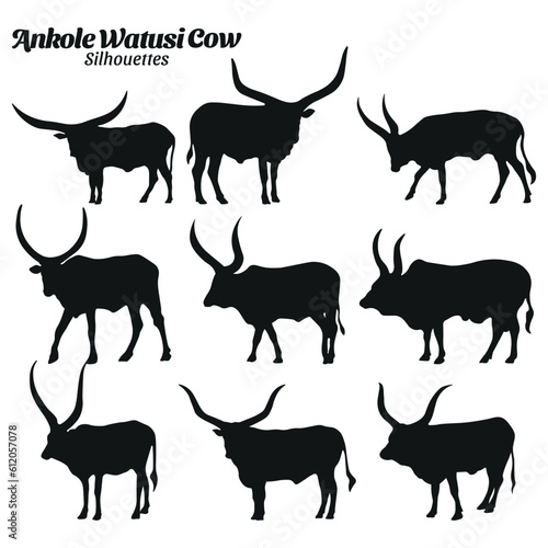 Ankole watusi cow silhouettes vector illustration set.