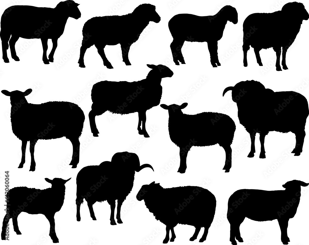 Naklejka premium Set of Sheeps Silhouette, Farm Animal Bundle