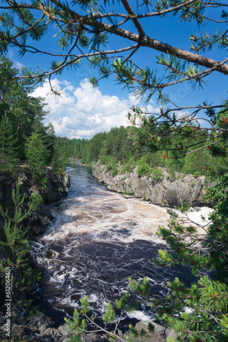 a river with a strong current in the forest in summer. Karelia, Russia
