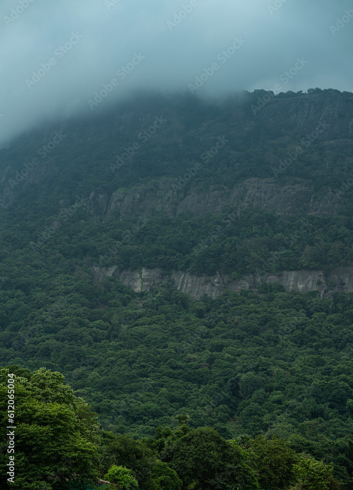 Foggy mountain nature landscape view