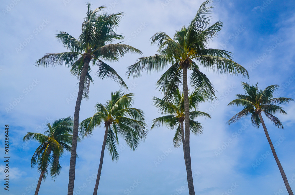 On a tropical beach in Malaysia