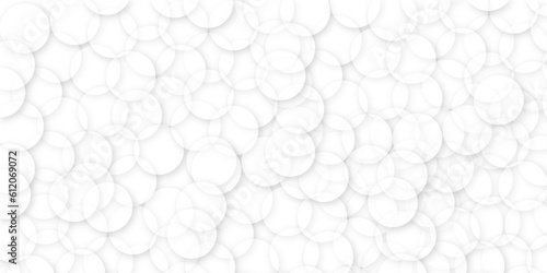 Fototapeta Naklejka Na Ścianę i Meble -  White and grey abstract modern transparency circle presentation background. Vector circles template vector design. Object web design. Round shape. Minimal poster.