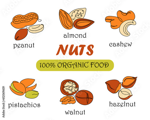 Continuous one line nuts. Organic food. Monoline walnuts and pistachios. Healthy snacks. Minimal drawing hazelnuts or peanuts. Diet ingredients. Natural cashew and almonds. banner