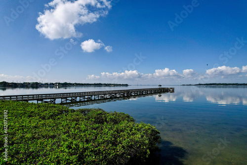 Wallpaper Mural A drone photo of RE Olds city park in Tampa Bay, Florida. An aerial view of the fishing pier. Torontodigital.ca