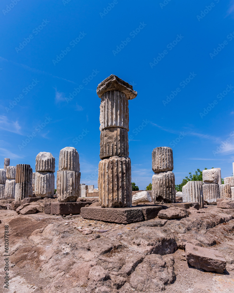 Fototapeta premium Apollon Smintheion Temple ruins view in Canakkale Province in Turkey