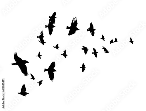 A flock of flying birds. Vector illustration
