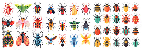 big set of insects bugs beetles and bees