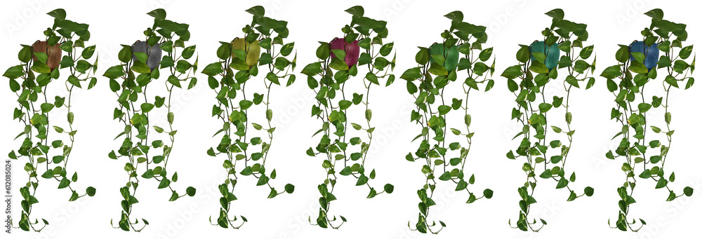 Banderole ou frise avec plante retombante ou suspendue. Feuillage comme philodendron ou lierre dans des pots de couleurs variées Banderole ou frise avec plante retombante ou suspendue. Feuillage comme philodendron ou lierre dans des pots de couleurs variées