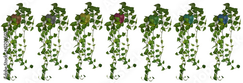 Banderole ou frise avec plante retombante ou suspendue. Feuillage comme philodendron ou lierre dans des pots de couleurs variées