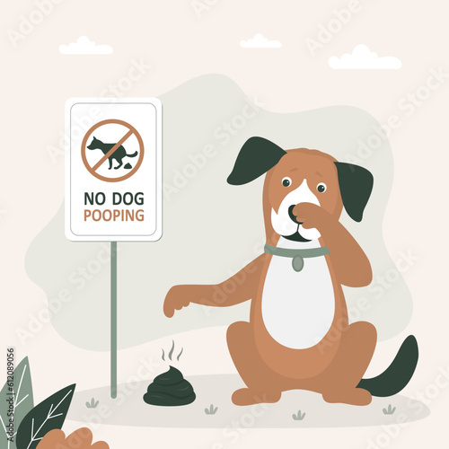 Dog goes to toilet. Cleaning for domestic pet. Cleaning park after walking pets concept. Prohibition of pooping on lawn and walking dogs in public park. Forbidden placard - no dog pooping.