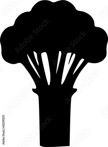 Broccoli icon vector, filled flat sign, solid colorful pictogram sign, symbol, vector, art
