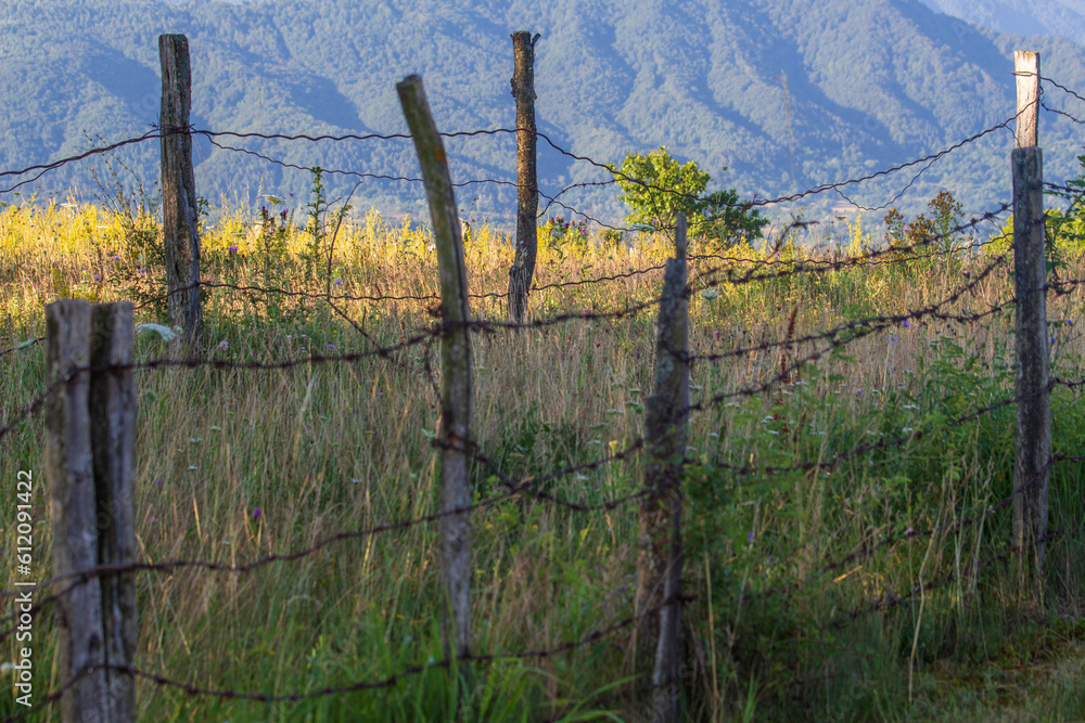 Fototapeta premium Landscape in Romania