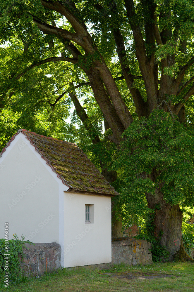 Unter einer Linde