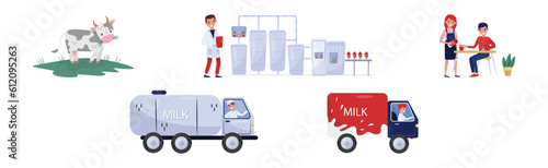 Milk Production Stages and Processing with Grazing Cow and Delivery Vector Set