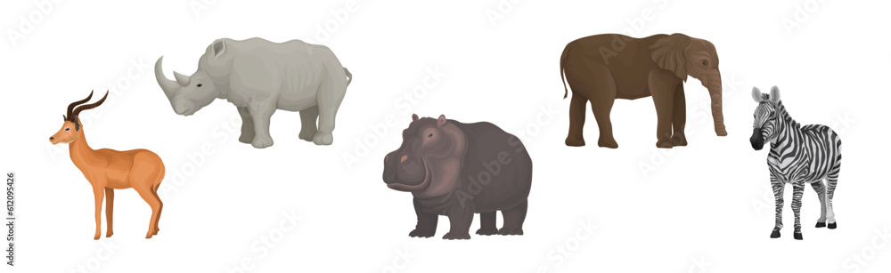 Obraz premium African Animal with Rhino, Gazelle, Hippo, Zebra and Elephant Vector Set