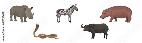 African Animal with Rhino, Zebra, Hippo, Buffalo and Cobra Vector Set