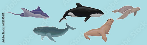 Marine Habitant with Ray, Whale, Turtle and Fur Seal Vector Set