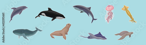 Marine Habitant with Ray  Whale  Turtle  Shark  Jellyfish and Fur Seal Vector Set