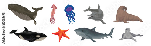 Marine Habitant with Whale, Squid, Dolphin, Walrus, Orca, Starfish, Shark and Fur Seal Vector Set