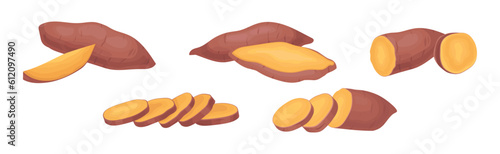 Sweet Potato as Large, Starchy, Sweet-tasting Tuberous Root Vegetable Vector Set