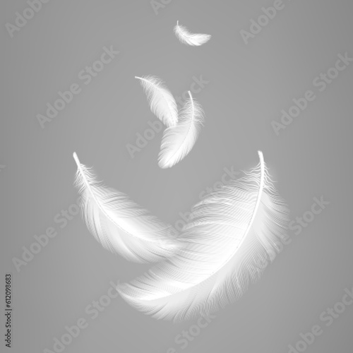White flying realistic feathers. Bird feather composition, lightness effect of pillows or air. Vector decorative graphic elements