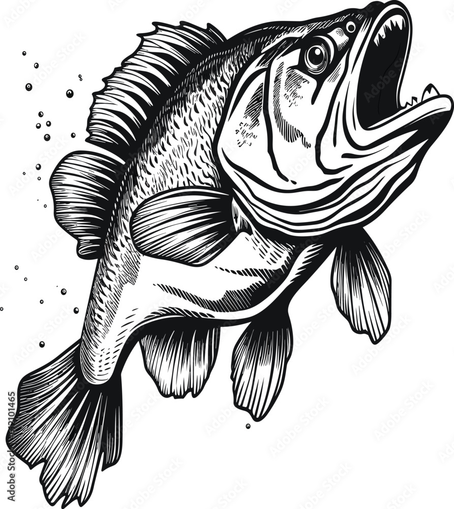 Elegant Fish Vector Graphics for Flowing and Dynamic Design Projects