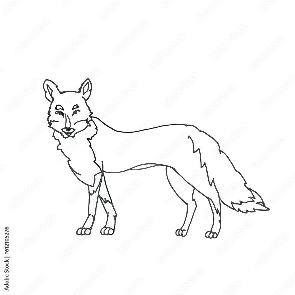 A vector fox. Line art animal isolated on white background. Hand drawn line sketch, black and white simple illustration.